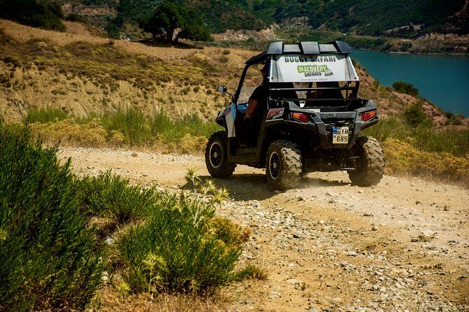 Polaris Buggy 4-Hour Safari from Rethymno Town - Timing Tips: Morning vs Afternoon and Dust Reality