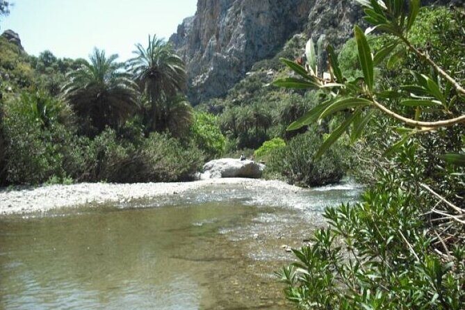 Preveli palm Beach & Damnoni Excursion - Price and Value: Is It Worth $36.12?