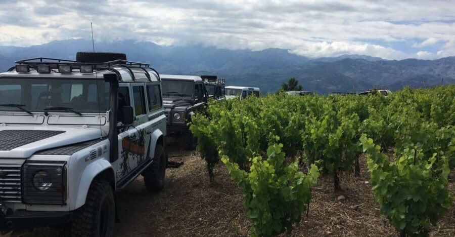 Private Exclusive Manousakis Winery and Vineyard Tour - Key points worth knowing