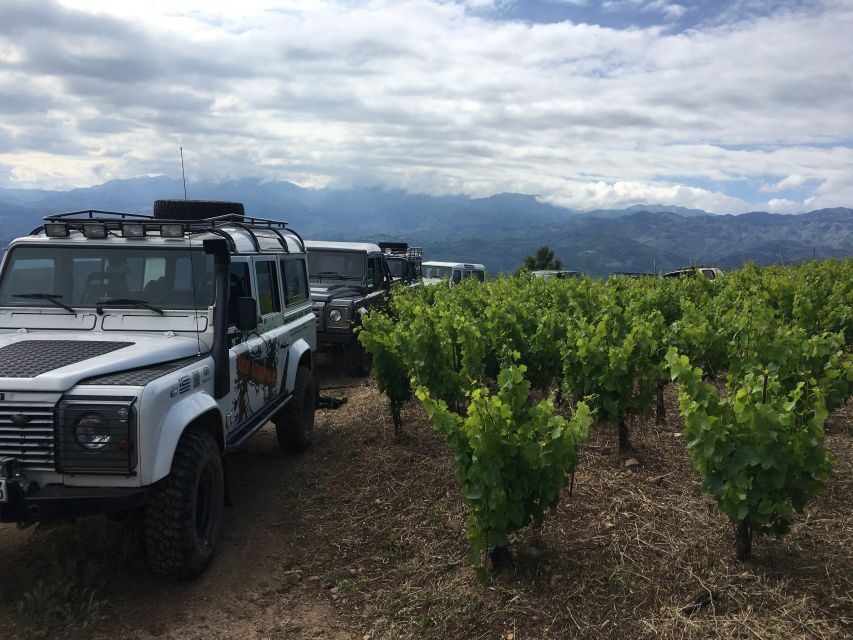 Private Exclusive Manousakis Winery and Vineyard Tour - Private 4x4 Escape to Manousakis Winery from Chania