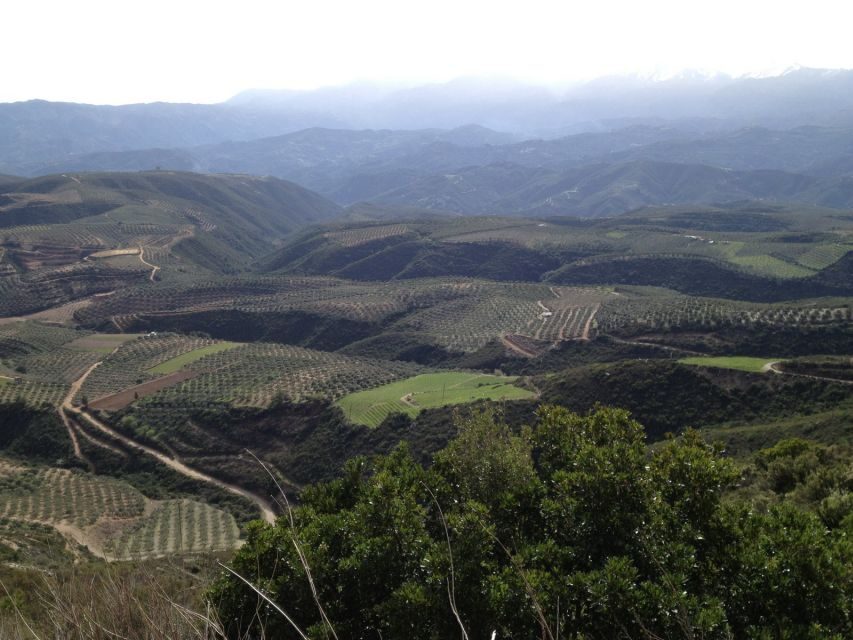 Private Exclusive Manousakis Winery and Vineyard Tour - The Stops That Break Up the Ride (and Give You Something to Do)