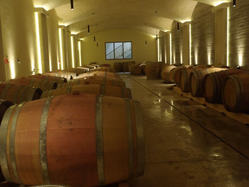 Private Exclusive Manousakis Winery and Vineyard Tour - Entering Manousakis Winery: Guided Tour and On-Site Craft