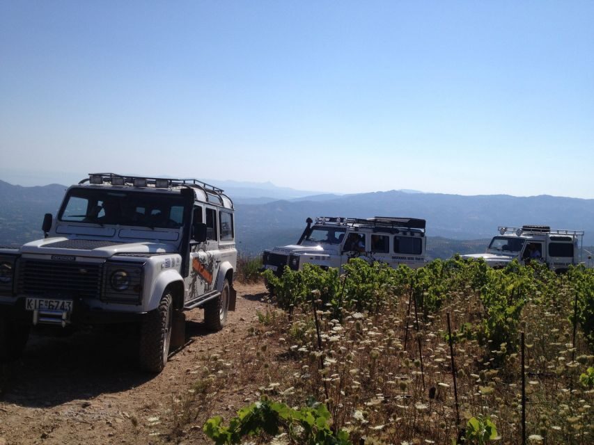 Private Exclusive Manousakis Winery and Vineyard Tour - What to Bring (and What to Avoid) for a Smooth Day