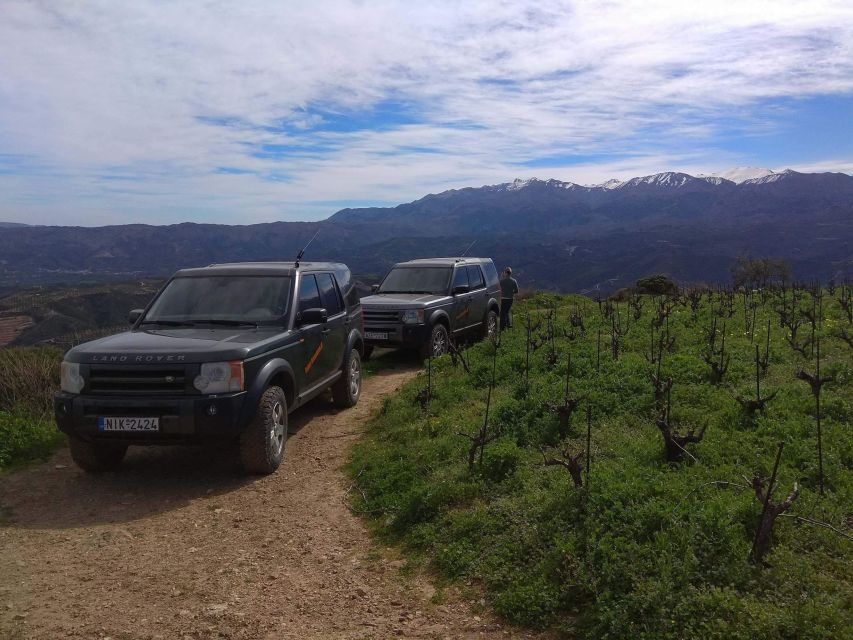 Private Exclusive Manousakis Winery and Vineyard Tour - Off-Road Vineyard Drive: Views, Altitude, and What the Ride Feels Like
