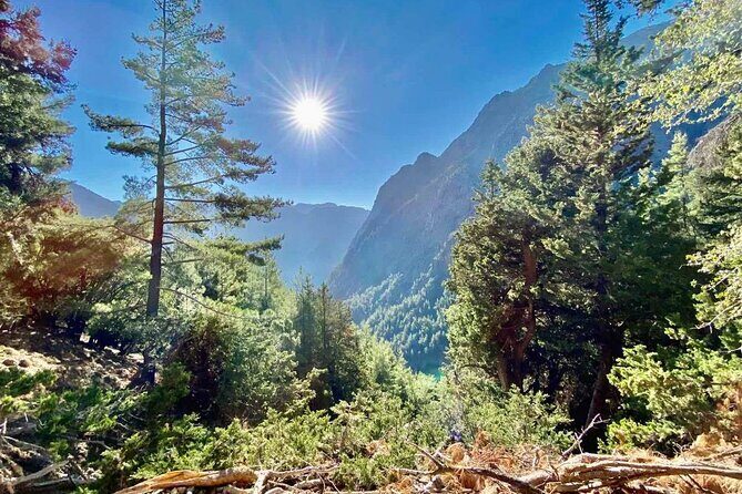 Private Roundtrip Transfer from Chania to Samaria Gorge Park - Comfort and Communication: Why a Human Driver Matters