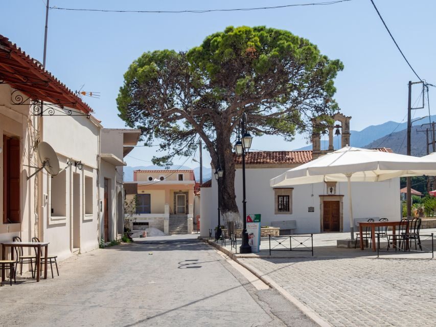 Private tasting of 6 cretan wines in Fres village - Fres wine tasting basics: where it happens and why Fres feels authentic