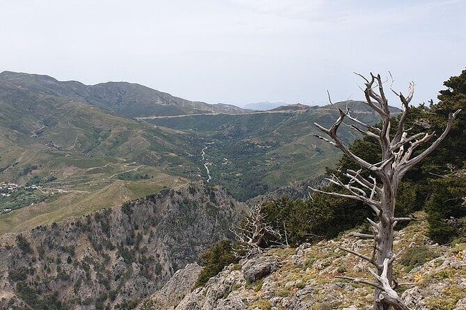 Rethymno Tour - VIP Private Tour - Spili’s Lion-Head Fountains and Old-Village Lanes