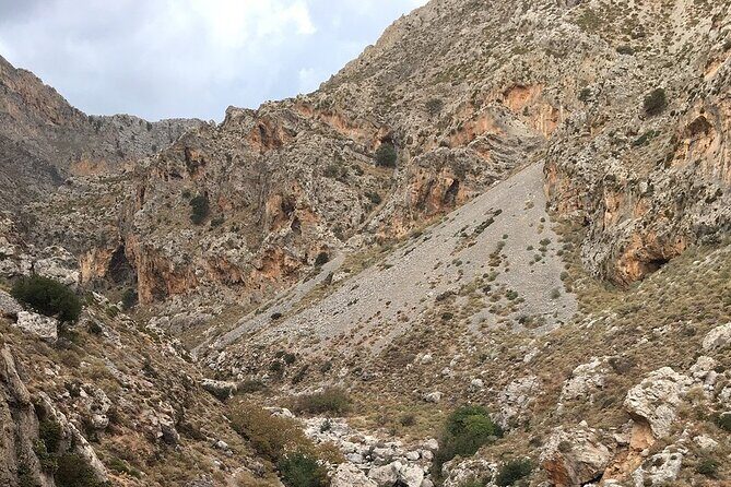 Rethymno Tour - VIP Private Tour - Lunch in a Traditional Tavern (With Unlimited Cretan Wine)