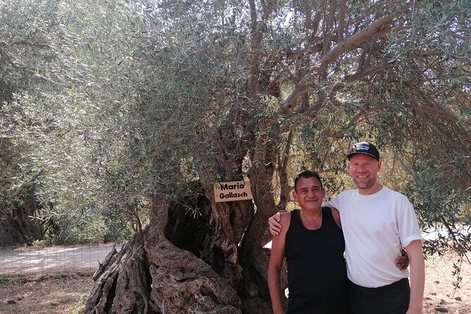 Rethymnon Olive Tree Sponsorship Protect and Plant Tour - Tree sponsorship that actually happens in the grove
