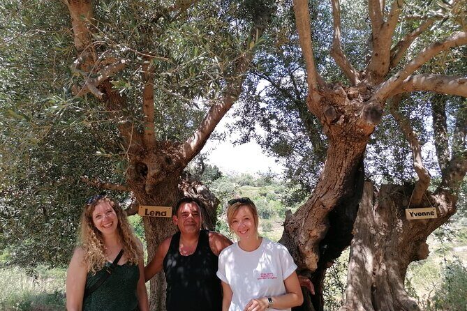 Rethymnon Olive Tree Sponsorship Protect and Plant Tour - Arriving at your tree: name tags, photos, and a toast