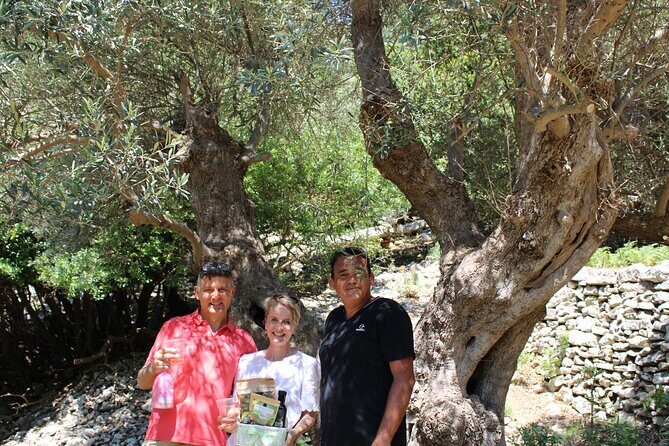 Rethymnon Olive Tree Sponsorship Protect and Plant Tour - What the Cretan Lazarus project means for your tree