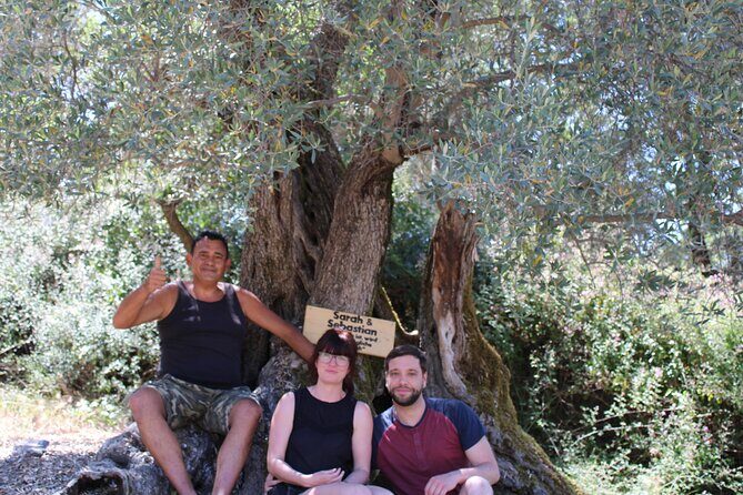 Rethymnon Olive Tree Sponsorship Protect and Plant Tour - Your sponsorship package: what you gain beyond the day