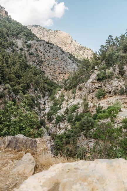 SAMARIA GORGE Full-Day Trip from CHANIA - The Chania-to-Omalos bus ride: long enough to be real, short enough to manage