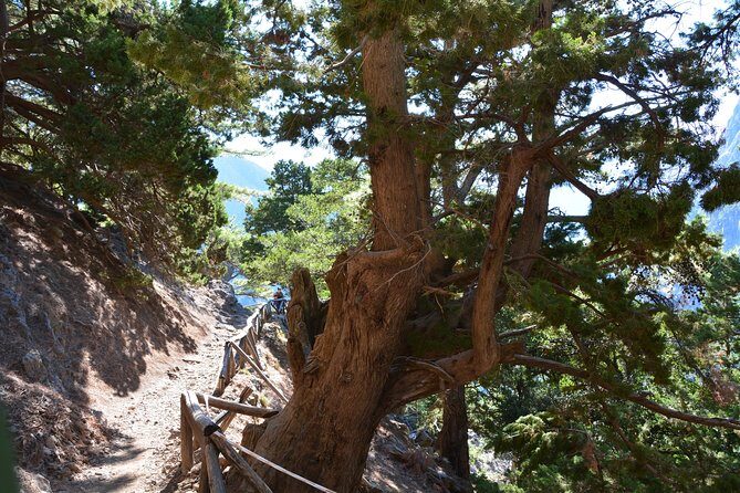 Samaria Gorge Hike - Getting there from Chania: pickup that actually covers real areas