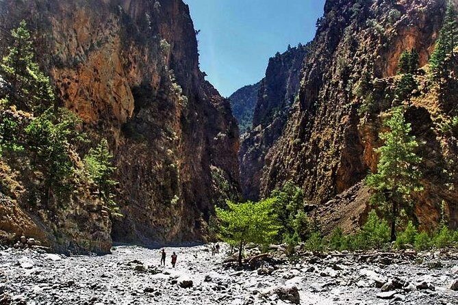 Samaria Gorge Trek: Full-Day Excursion from Chania with Guide - Getting started early in Chania: pickup and the drive to Omalos