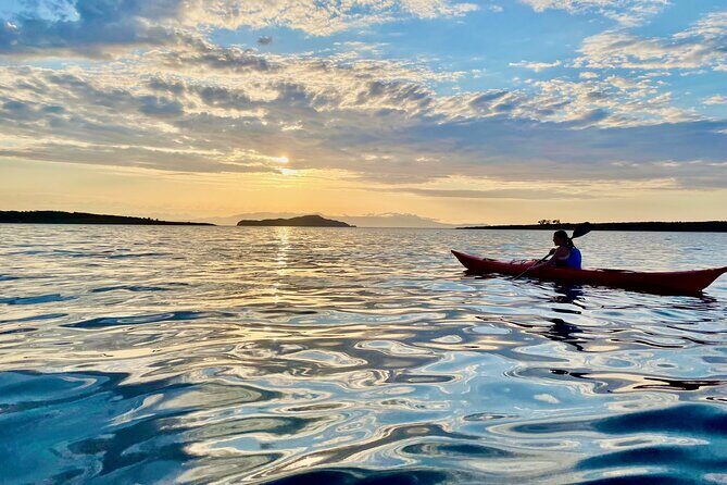 Sea Kayak Tour of Chania’s Old Venetian Port - Lazareta: Swim Stop at Lazaretta Island (Snorkel Time Included in the Mood)