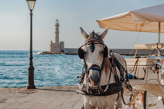 Shore Explore Chania: City Charm, Beach, Monastery & Winetasting - Private tour comfort: pickup, A/C van, USB sockets, and bottled water
