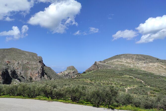 Sips of Crete: Flavors, Legends & Hidden Gems - Vouves Ancient Olive Tree: A 15-Minute Pause With Big Weight