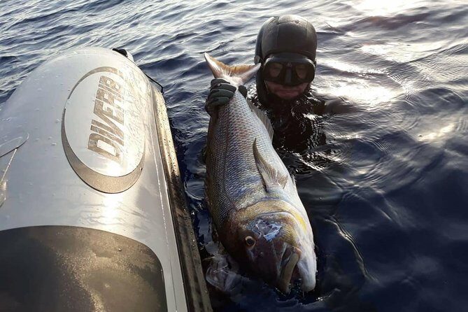 Spearfishing in Chania, Crete (price is per group) - Gear included: masks, snorkels, fins, and a speargun