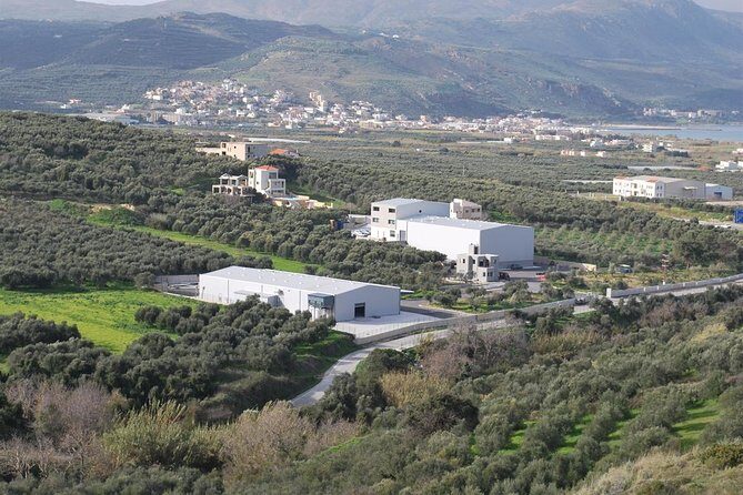 Wine, Beer, Olive Oil Tasting Private Tour (price per group of 6) - Price and value: what $520.57 per group really covers