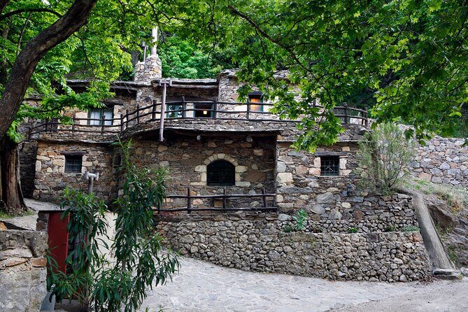 Wine & Olive Oil Tour with Lunch at Milia Mountain Retreat - Key highlights worth planning for