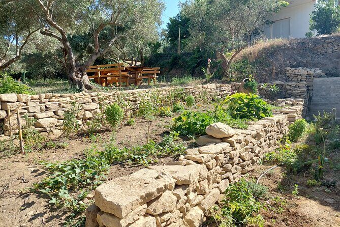 Wine Tasting: Meet the Cretan Vineyard at West Chania - Price and value: is $60.01 worth 1.5 hours?