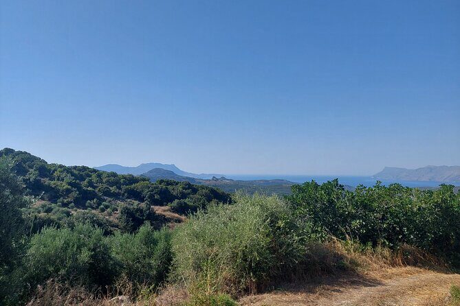 Wine Tasting: Meet the Cretan Vineyard at West Chania - Weather and timing: plan for flexibility