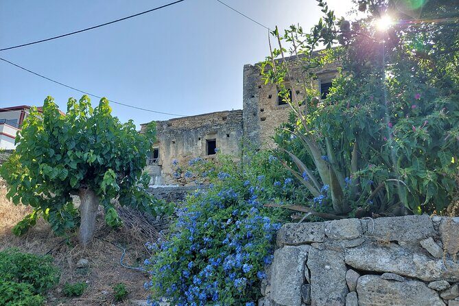 Wine Tasting: Meet the Cretan Vineyard at West Chania - What the small-group format does for your experience